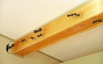 Rafters with Ants